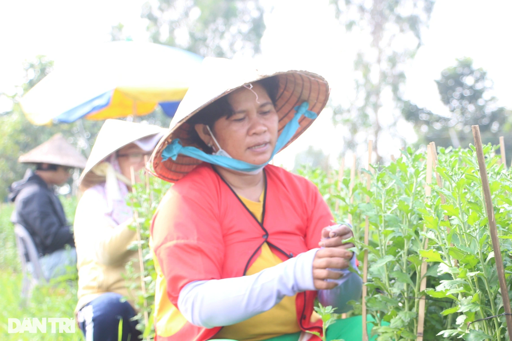 Nhung ngay cuoi nam bat thuong o lang hoa lon nhat TPHCM-Hinh-5