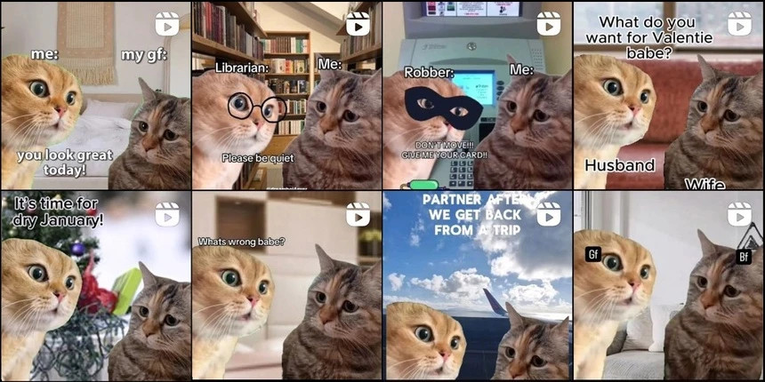 Tiet lo ve chu meo mat buon 