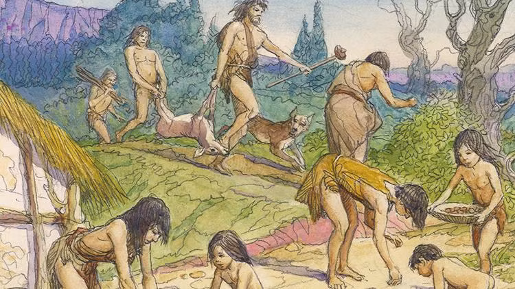 Vi sao rang nguoi tien su lai thang va deu den vay?-Hinh-3