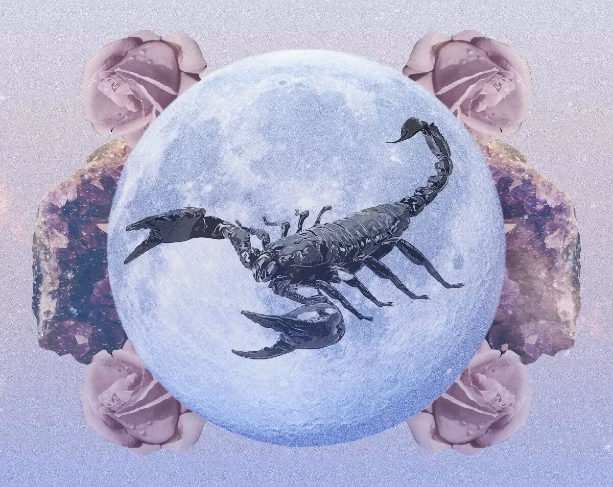  Cung nước dễ bị chi phối bởi những lời nói ngon ngọt của đối phương, ví dụ lời khuyên của bạn bè, review trên mạng hoặc thậm chí là lời nói của người bán hàng.