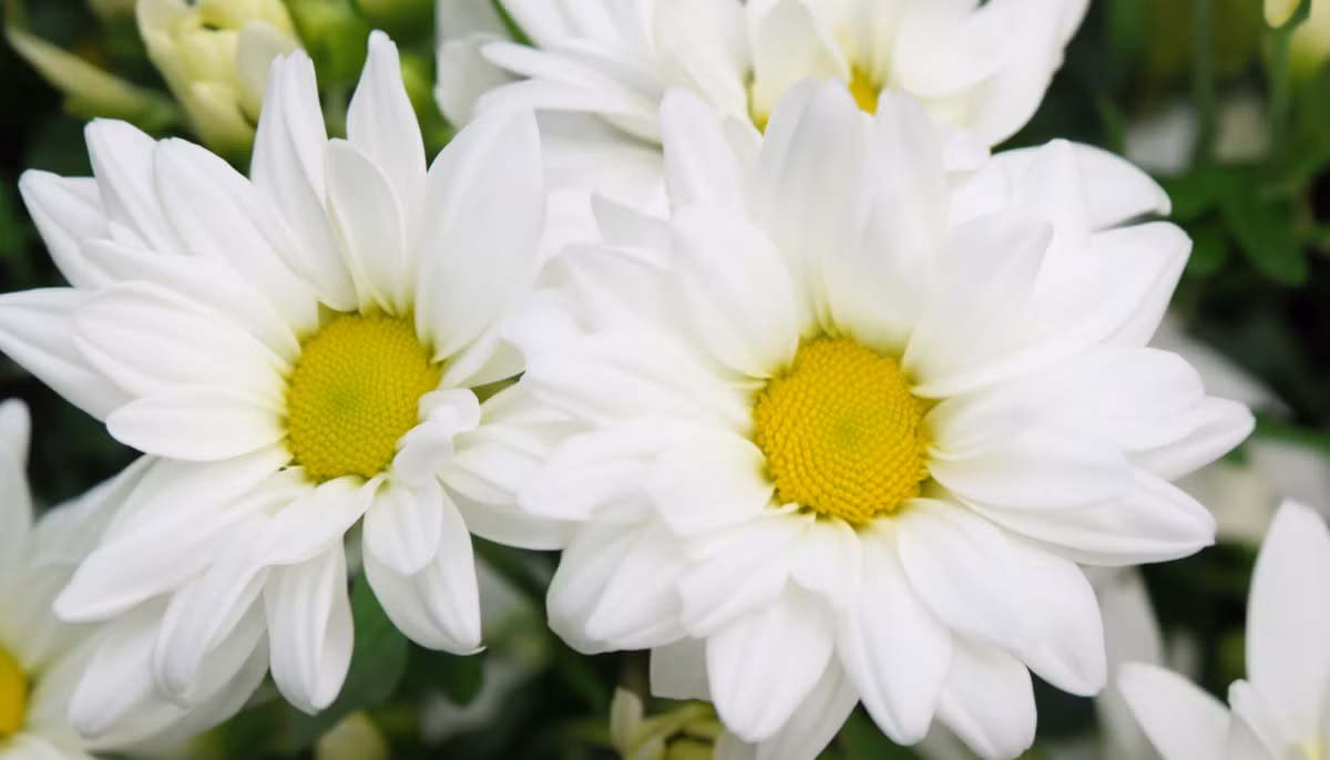 Thang 7, 3 con giap tran day dong luc, dau tu sinh loi