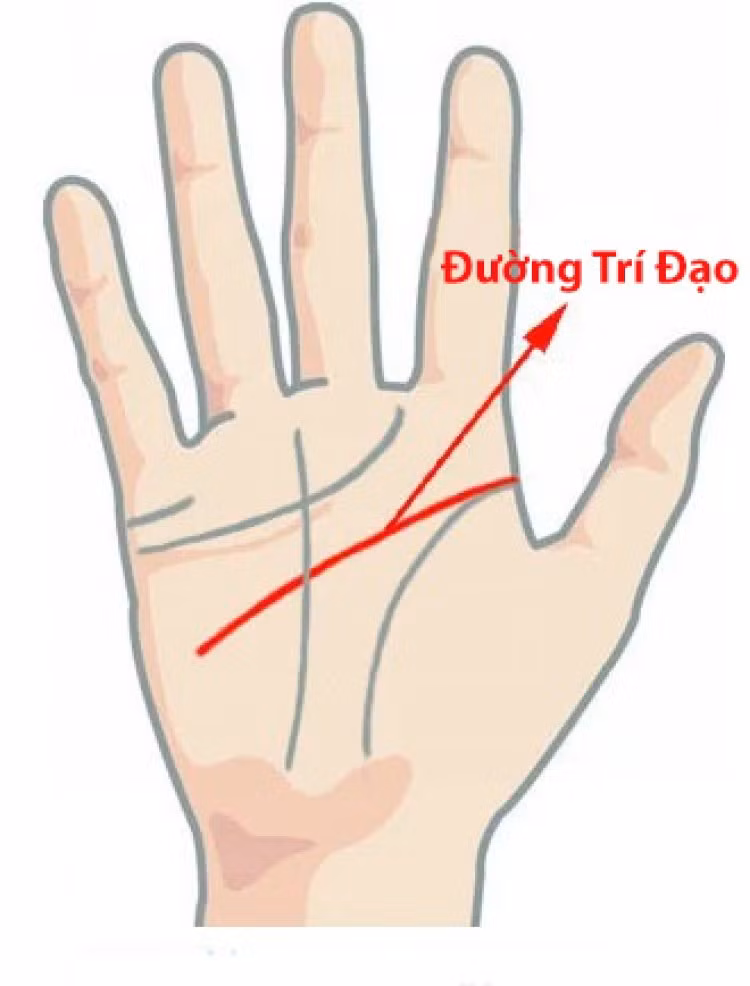 Với lợi thế đó cùng việc yêu thích việc kiếm tiền, bạn luôn biết nắm chắc cơ hội xảy đến với mình và thường thu về nguồn lợi lớn, đầu tư sinh lời liên tục.