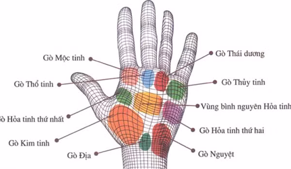 Họ thường làm việc rất tỉ mỉ, chu đáo, biết kiếm tiền và cũng biết giữ tiền. Họ chăm chỉ, chịu khó hết lòng vì công việc và lo cho tương lai, thế nên tiền bạc dồi dào nhờ trí tuệ và đôi bàn tay họ. Không những vậy tương lai họ còn có thể làm lãnh đạo, rất được người đời nể phục.