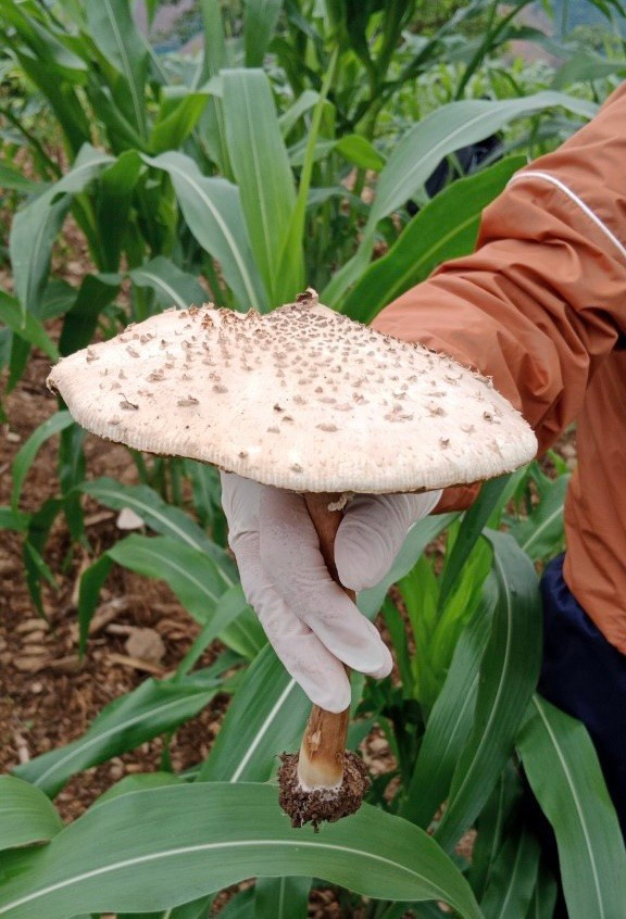 Gia dinh 8 nguoi nhap vien nghi bi ngo doc nam