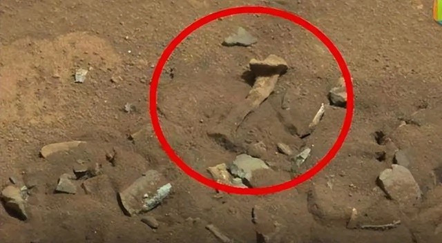 Su that phat hien hinh anh nguoi ngoai hanh tinh tren sao Hoa