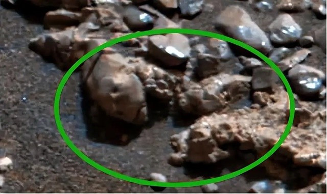 Su that phat hien hinh anh nguoi ngoai hanh tinh tren sao Hoa-Hinh-3