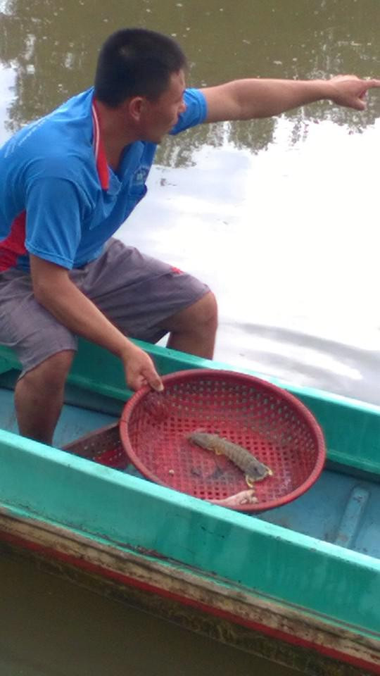 Nuôi tôm tít to bự, anh nông dân bắt bán 900.000-1,2 triệu/ký Nuoi tom tit to bu, anh nong dan bat ban 900.000-1,2 trieu/ky