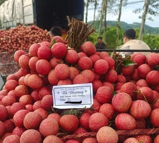 Vai thieu mat mua gia cao, ke khoc, nguoi cuoi