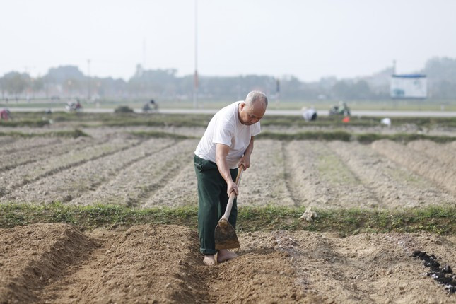 Nong dan ho hoi xuong dong dau nam moi, mong vu mua boi thu-Hinh-8