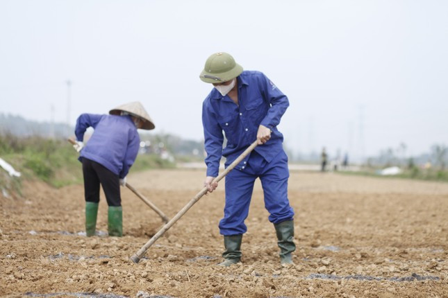 Nong dan ho hoi xuong dong dau nam moi, mong vu mua boi thu-Hinh-5