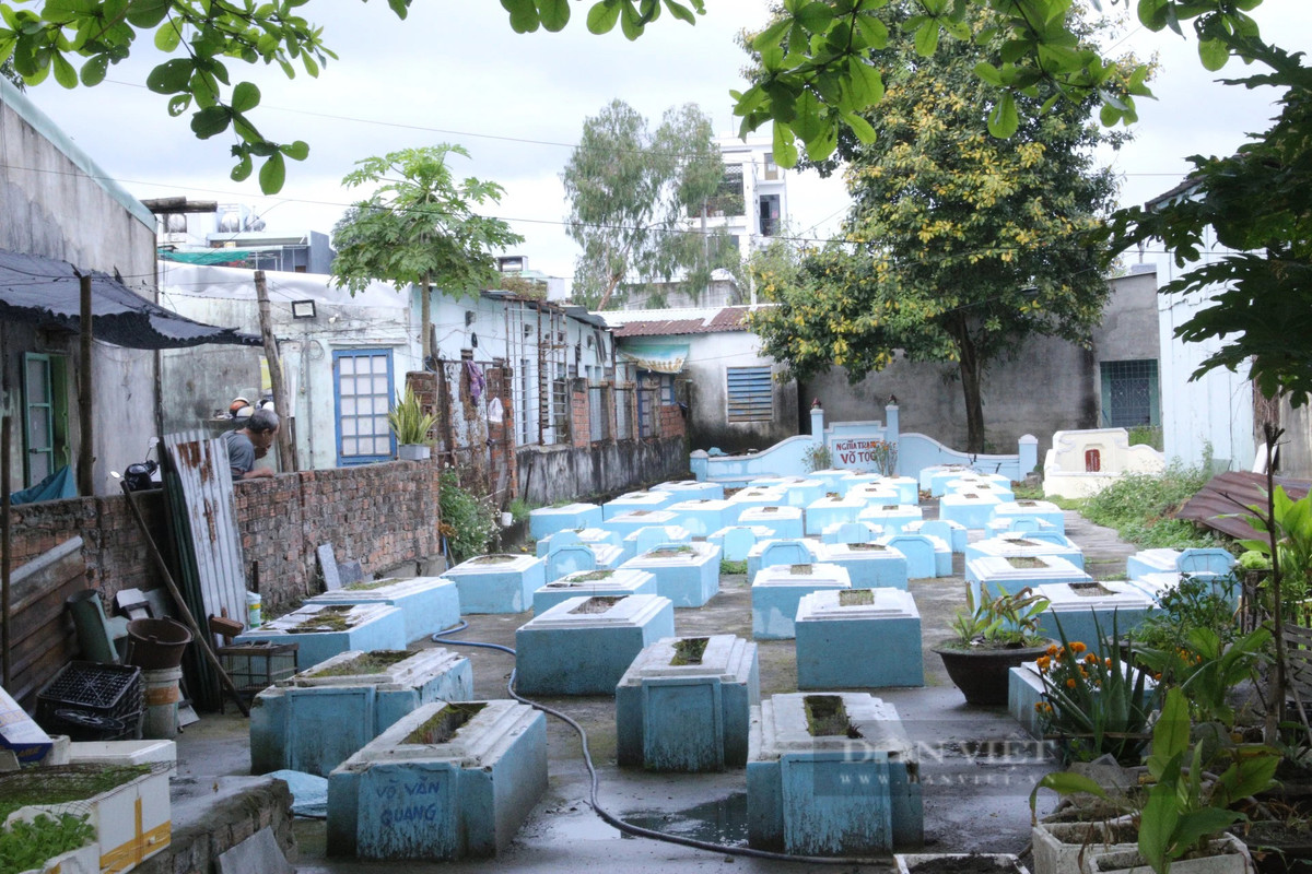 Rợn người cảnh hàng nghìn hộ dân "sống cạnh người chết" tại Đà Nẵng - Hình 5 Ron nguoi canh hang nghin ho dan