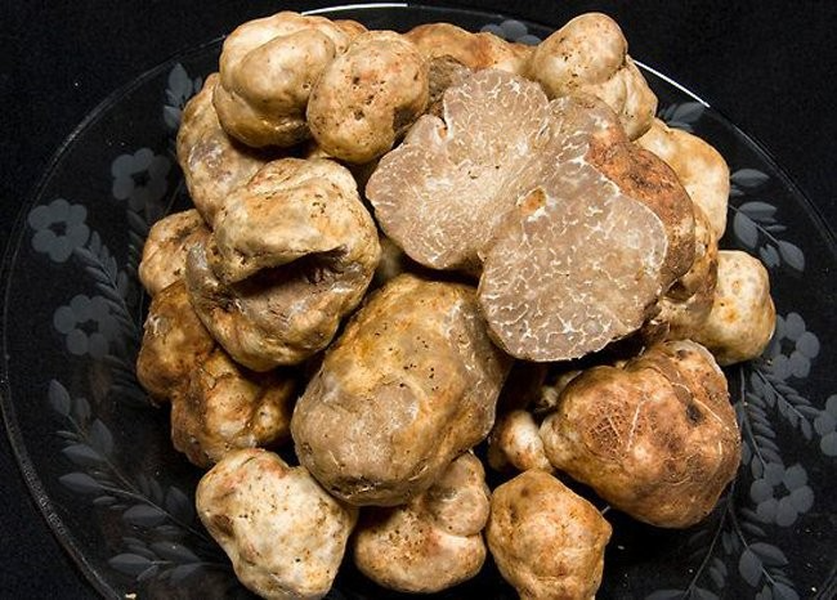 Truffle là một loại nấm được ca ngợi như viên kim cương trong thế giới ẩm thực vì chỉ cần vài mảnh vụn của nó cũng đủ kích thích hương vị. Đây cũng là loại nấm đắt nhất thế giới, chỉ giới siêu giàu mới dám chi số tiền khủng để thưởng thức món ăn này.
