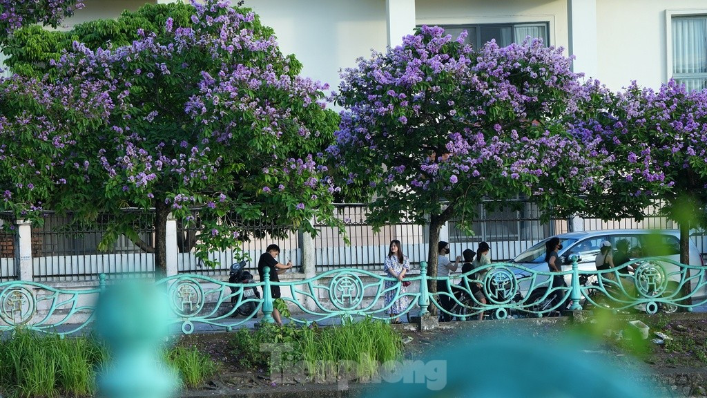 Sau một ngày nắng nóng, giữa Hà Nội náo nhiệt với tiết trời oi bức, vẫn còn đâu đó những ngóc ngách bình yên và nên thơ.