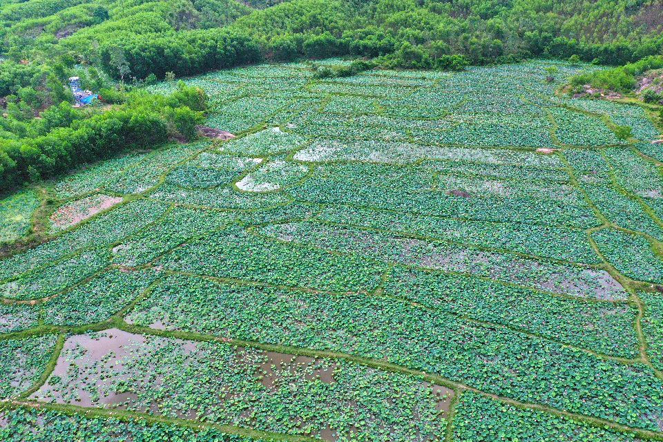 Theo ghi nhận, dù lượng khách du lịch đến khu vực khá đông. Tuy nhiên, hiệu quả từ du lịch hầu như chưa có bởi chủ yếu du khách chỉ đến "check-in", chưa có nơi để lưu trú và các dịch vụ phụ trợ.