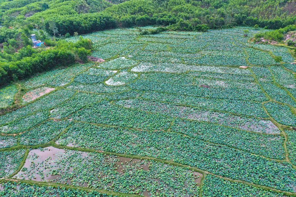 Theo ghi nhận, dù lượng khách du lịch đến khu vực khá đông. Tuy nhiên, hiệu quả từ du lịch hầu như chưa có bởi chủ yếu du khách chỉ đến "check-in", chưa có nơi để lưu trú và các dịch vụ phụ trợ.