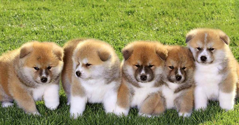 Không gì có thể ngăn cản được sự thăng tiến vững chắc của họ trên con đường phát triển tài chính, mở ra một thị trường ngập tràn cơ hội và khả năng sinh lời.