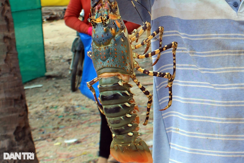 Bat ngo voi so tom hum Viet Nam xuat sang Trung Quoc