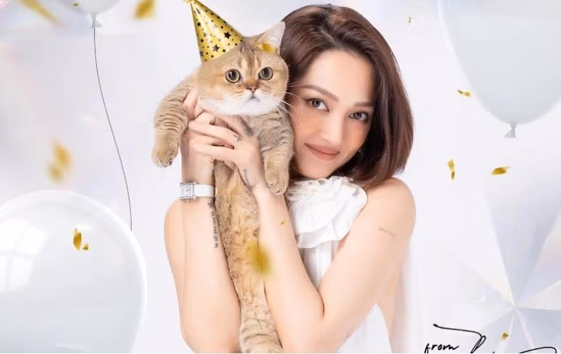 Đối với Panadol, Bảo Anh từng gây "choáng" khi đầu tư hẳn một nhà máy sản xuất pate để tặng "con" nhân dịp sinh nhật.