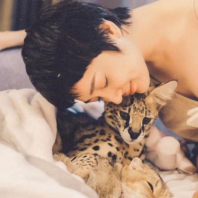 Trên trang cá nhân, Bảo Anh thường chia sẻ hình ảnh thư giãn bên chú mèo Cartier.