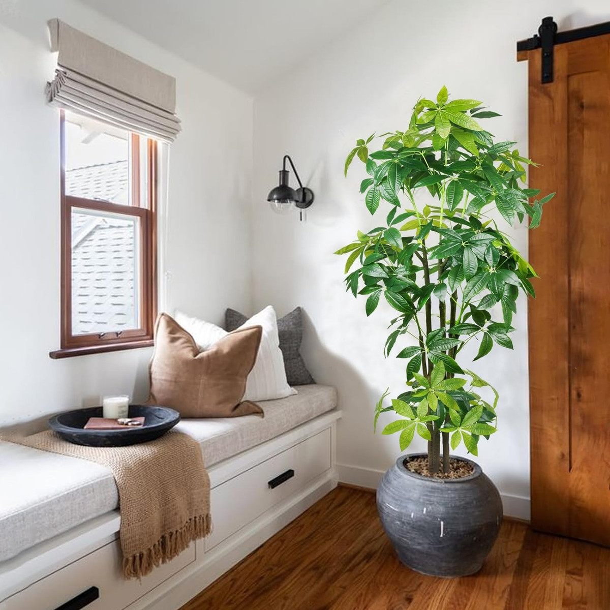 "Trong nhà có 3 cây cảnh, phú quý, phúc lộc theo về" ảnh 5