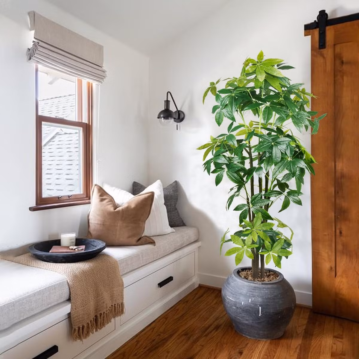 "Trong nhà có 3 cây cảnh, phú quý, phúc lộc theo về" ảnh 5