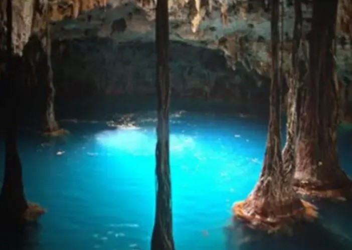 Sinh vat bi an xuat hien duoi kim tu thap Maya-Hinh-2