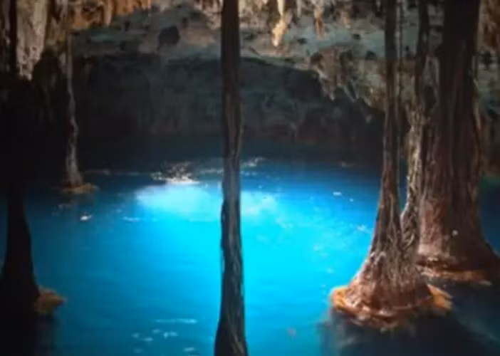 Sinh vat bi an xuat hien duoi kim tu thap Maya-Hinh-2