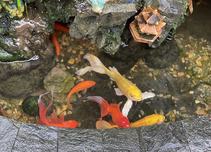 Cũng theo anh Huy, việc làm mới ngôi nhà hay thiết kế không gian ở sẽ tùy theo ý gia chủ, không nhất thiết cần quá cầu kỳ hay cần quá nhiều tiền. Điểm khó nhất chính là do rất nhiều người có tâm lý “ngại thay đổi” hay đúng hơn là “sợ” nên họ còn lưỡng lự. “Họ sợ thay đổi, sợ kinh phí đắt đỏ, sợ không phù hợp, sợ rằng gặp kiến trúc sư tư vấn không có tâm hoặc không hợp gu, sợ rất nhiều thứ,... nên rất ít người trong số họ vượt qua được cái ngại hay cái sợ đó để thay đổi. Tuy nhiên, trong số rất ít người dám thay đổi thì họ lại rất hài lòng với các câu nói như: “biết thế tôi làm sớm hơn, nếu biết thế này tôi thay đổi từ lâu rồi””, anh Huy thông tin.