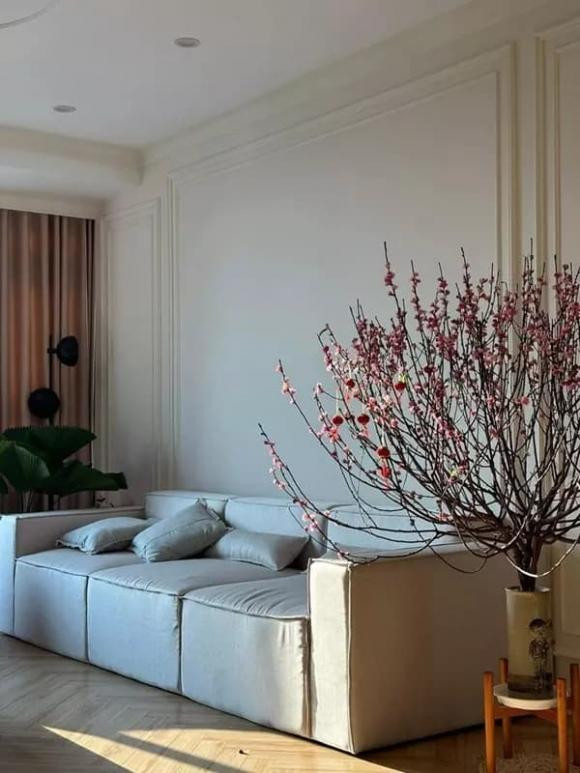 Penthouse 150m2 co dat do cua A hau Phuong Anh va chong Tien si-Hinh-4