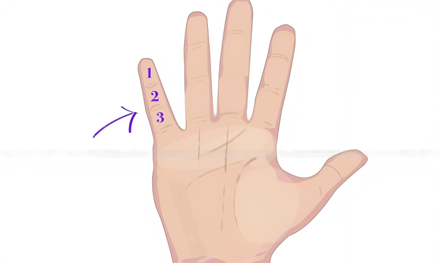 Nhìn ngón út biết ngay cuộc đời sang giàu hay nghèo khó Nhin ngon ut biet ngay cuoc doi sang giau hay ngheo kho