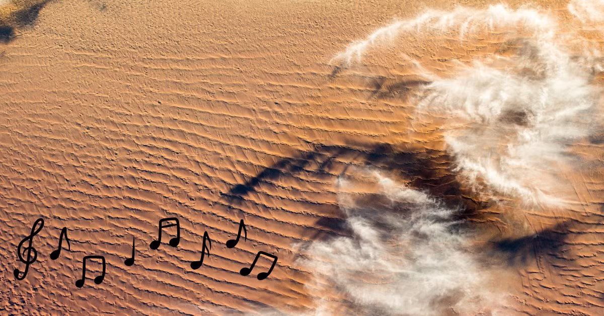 Vi sao mot so sa mac co the phat ra am thanh ky quai?