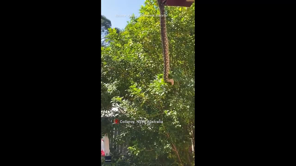 Hai vo chong bat gap canh tuong noi da ga