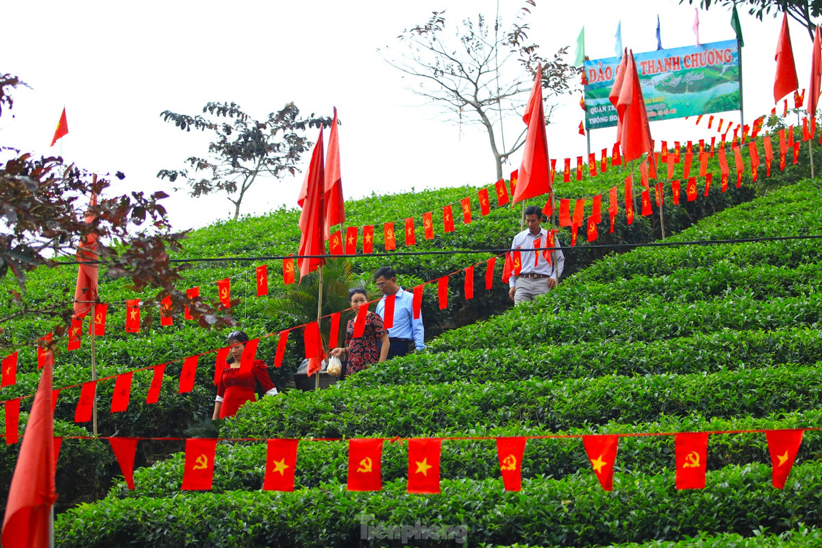 Điểm đặc biệt ở những đảo chè nơi đây là quanh năm xanh tốt. Do đó, du khách có thể đi du lịch vào bất kỳ thời điểm nào trong năm. Khi đến đây, du khách có thể đắm chìm trong hương thơm thoang thoảng của trà, của thiên nhiên, tiết trời mát mẻ và không khí trong lành, thơ mộng. Ngọc Tú - Cảnh Huệ