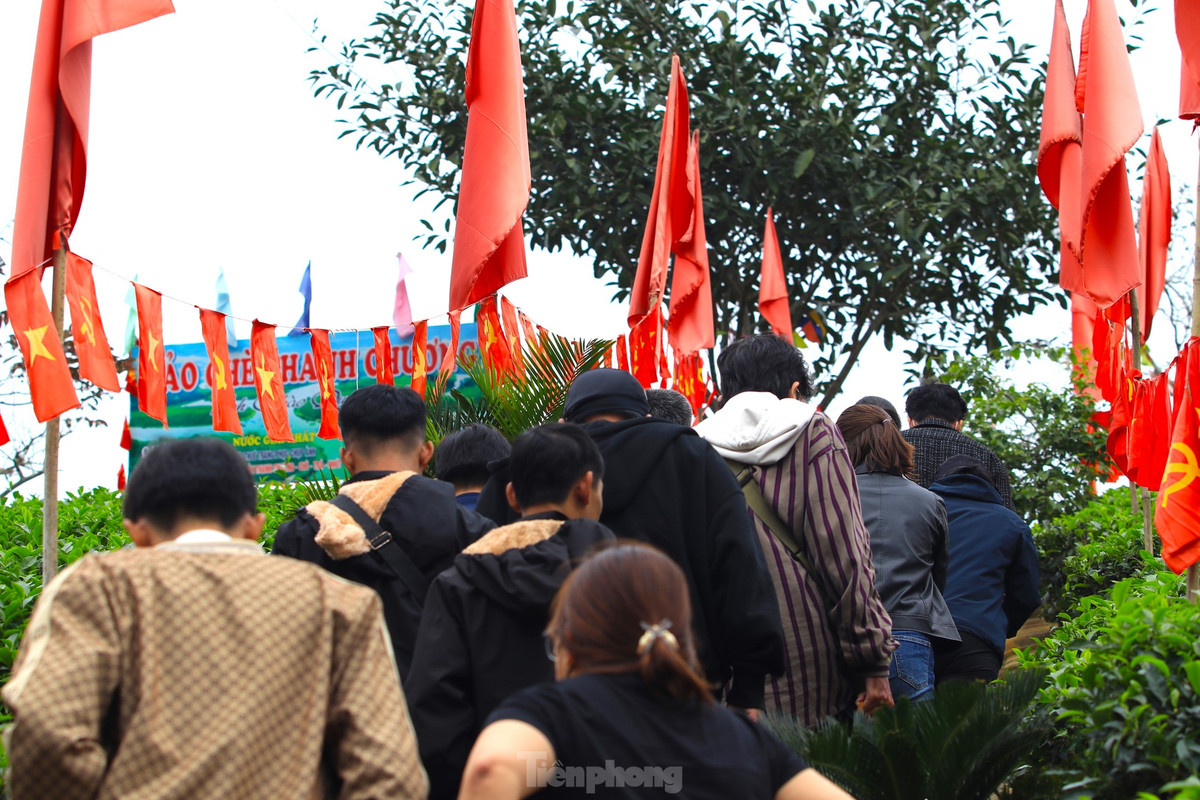 Những ngày đầu năm mới, du khách thập phương lại du xuân đến đảo chè để chụp ảnh check in.