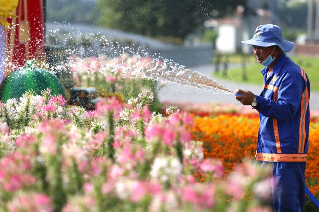Đội ngũ nhân viên, kỹ thuật viên của các ngành chức năng tất bật chăm sóc hoa kiểng trên các tuyến đường để tạo sắc xuân lung linh cho thành phố.