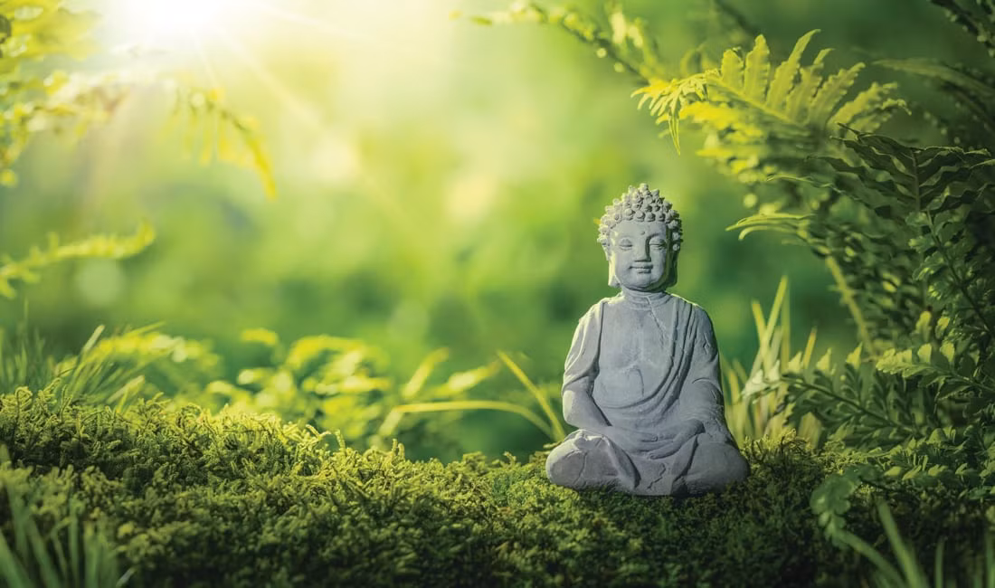 br/> 1. Khi bạn mất đi một thứ gì đó, có nhất định phải theo đuổi để giành lại không? Kỳ thực, khi bạn mất đi một thứ gì đó là bởi vì thứ ấy chưa bao giờ thực sự thuộc về bạn, cho nên đừng quá nuối tiếc và theo đuổi nữa. 