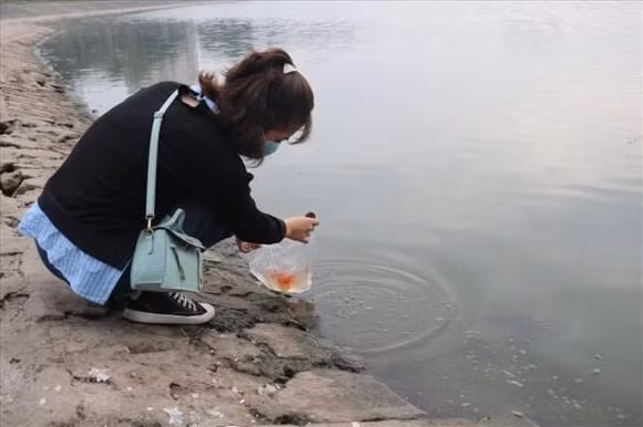 Can tranh nhung sai lam khi tha ca chep trong ngay ong Cong ong Tao-Hinh-4