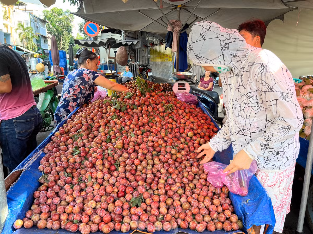 "Quê tôi ở Hà Nội nên từ nhỏ đã rất yêu thích quả mận này. Cứ đến mùa mận hậu là trái cây này không thể thiếu trong món tráng miệng hàng ngày của gia đình tôi. Mận hậu có giá rẻ như năm nay, tôi mua về làm mứt, ngâm đường làm thức uống giải khát rất ngon. Loại trái cây này còn có thể trộn chung với món salat ăn rất bắt vị" - chị Thu Hường (ngụ quận Gò Vấp) bật mí.