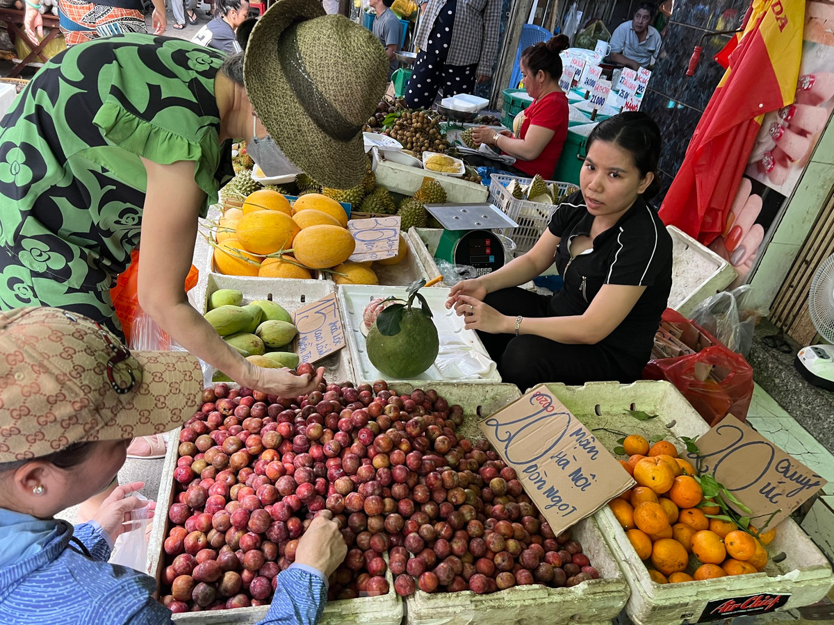 Mận hậu có nhiều ở chợ lẻ, chợ truyền thống nhưng tại các chợ đầu mối lại không có mặt hàng này.