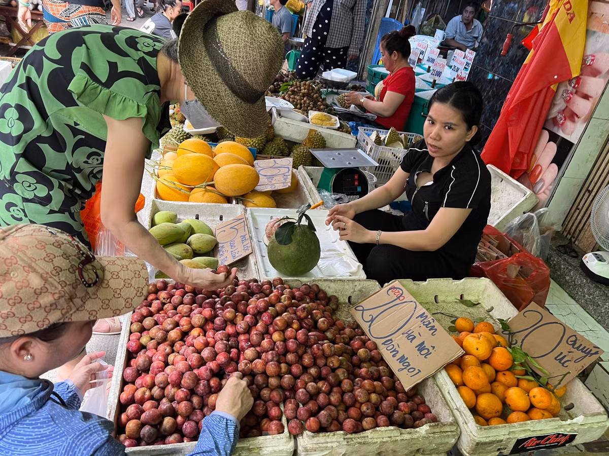 Mận hậu có nhiều ở chợ lẻ, chợ truyền thống nhưng tại các chợ đầu mối lại không có mặt hàng này.