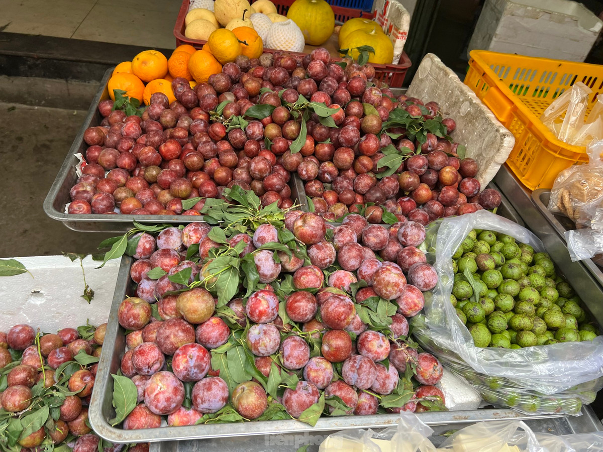 Mận hậu quả đại loại 1 có giá đến 50.000 đồng/kg, nhưng vẫn chỉ bằng 50% giá bán của hai năm trước.