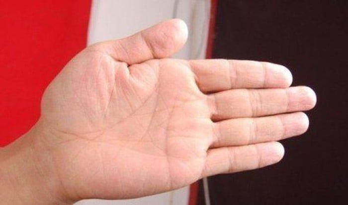  7. Lòng bàn tay đầy đặn và có tính đàn hồi Những người có lòng bàn tay đầy đặn là người có cơ thể khỏe mạnh, dồi dào sức sống. Đây là điều kiện cơ bản của người có đường tài vận hưng thịnh sau này. Dù trong công việc hay cuộc sống thì họ luôn tràn trề nhiệt huyết, nỗ lực thăng tiến.