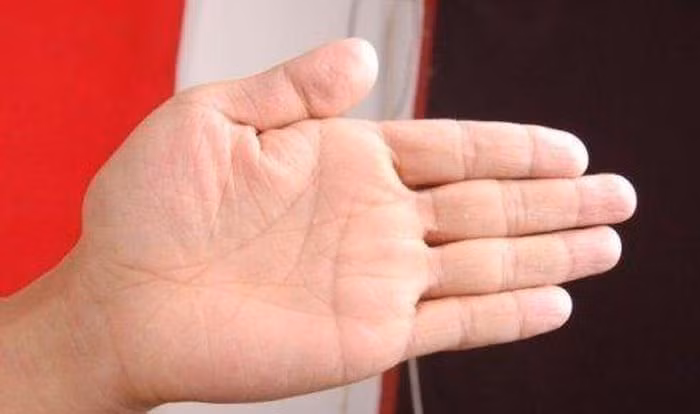  7. Lòng bàn tay đầy đặn và có tính đàn hồi Những người có lòng bàn tay đầy đặn là người có cơ thể khỏe mạnh, dồi dào sức sống. Đây là điều kiện cơ bản của người có đường tài vận hưng thịnh sau này. Dù trong công việc hay cuộc sống thì họ luôn tràn trề nhiệt huyết, nỗ lực thăng tiến.