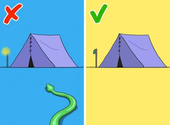 Cach nhan biet loai ran chua noc doc-Hinh-7