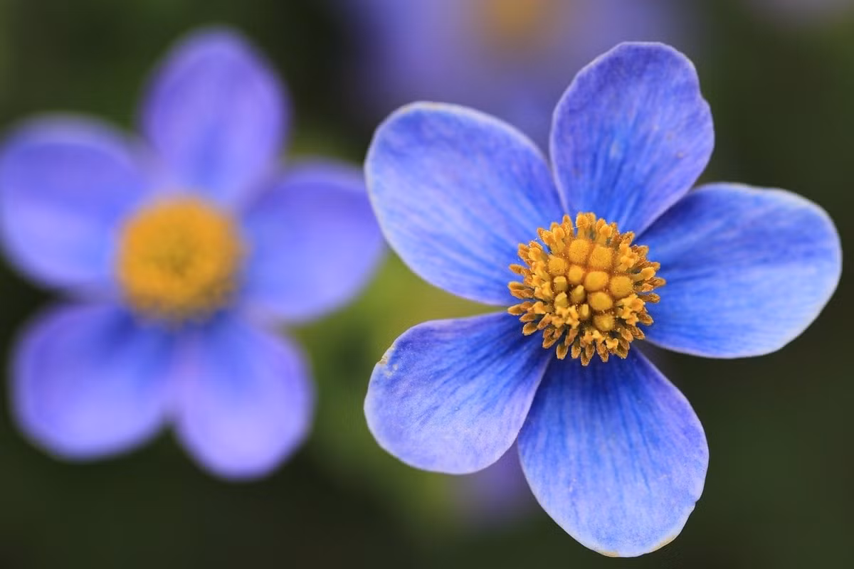 3 con giap danh loc nhu y, giua thang 3 hot vang hung bac