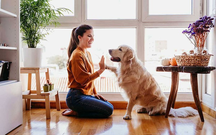  Nuôi chó: Chó là loài vật được nhiều gia đình nuôi nhất. Chó khôn ngoan thông minh gần gũi con người. Chó còn giúp gia chủ trông coi nhà cửa và đuổi kẻ gian, chó cũng đuổi ma quỷ. 