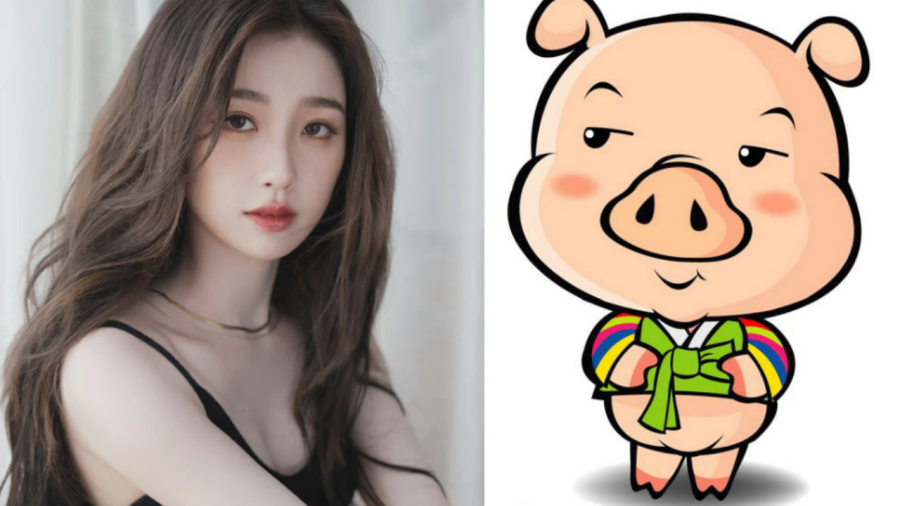 Tuổi Hợi: Không chỉ là những người ân cần, giàu lòng nhân ái và có trí tưởng tượng phong phú, tuổi Hợi còn giỏi sáng tạo nghệ thuật và luôn khao khát được giúp đỡ người xung quanh.