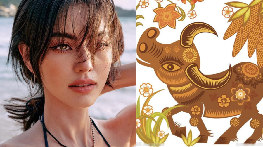 4 con giap lien tiep gap may, song trong mua tien bien bac