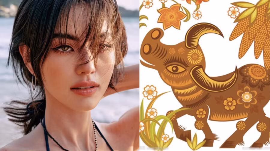 4 con giap lien tiep gap may, song trong mua tien bien bac