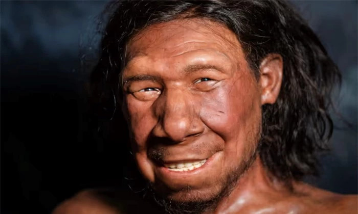 Thói quen dậy sớm có thể được thừa hưởng từ tổ tiên lai tạo Neanderthal ảnh 1